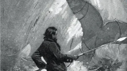 Have you read Moby Dick?