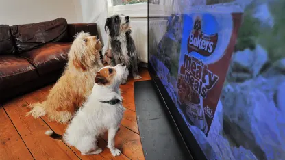 What do you watch, when you only want to half-watch something?