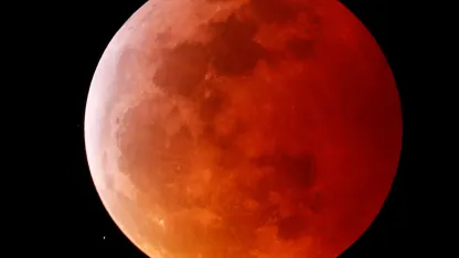 Anybody watch the eclipse last night