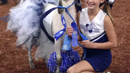 Goat Dressing Competion