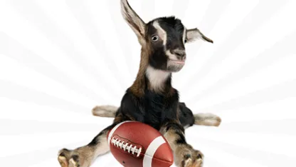 The  "Fully Endorsed and Supported" Unmehficial Stupid Goat! League (FESUSGL )