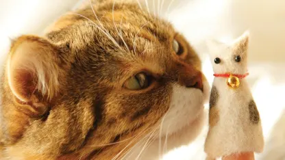 Crafting with Cat Hair Paperback