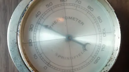 Goat Day 2 - How's the weather?