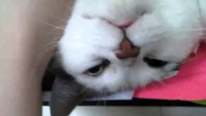 Meh hates my address :(