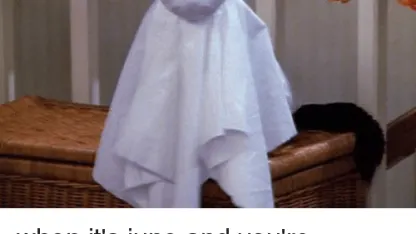 It's Halloween, what are your plans?