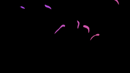 How many words do you know?