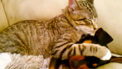 Mighty Good Music Recommendations