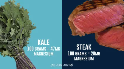 If you could eat at the best (fill in the blank) restaurant in the world, which cuisine would you fill in the blank with?