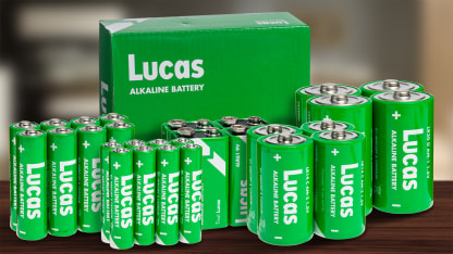 28-pack: Lucas Alkaline Battery Bundle