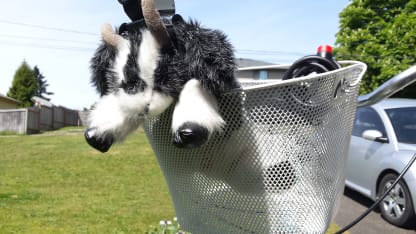 Hoping to take him out later. .. the GoatPro!