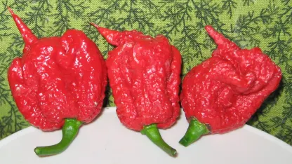 Carolina reapers: