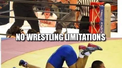 Pro Wrestling is Fake