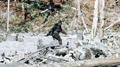 What do you call the famous ape-like cryptid that lives in cold climates?