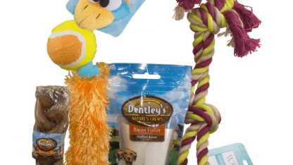 Dog Toy Bundle