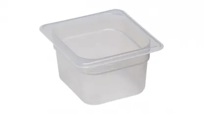 1.6 Quart sized pizza?!