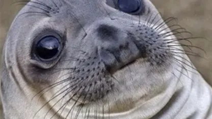 Umm...  What was I doing?