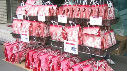 Fukubukuro: Kickstarter