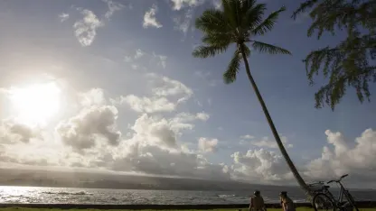 Do you save money by buying things off-season?