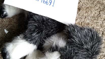 My aquacopter is possessed