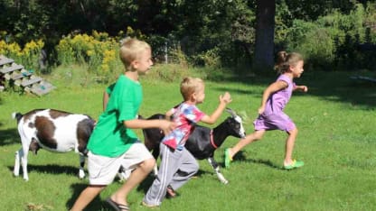 An appeal to former Goats