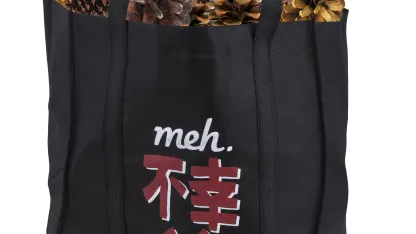 Fukobukuro 19: Fools Rush In