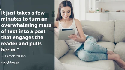 Without scrolling back up to count, guess how many bullet point dots there are on the site today, between the write-up and features: