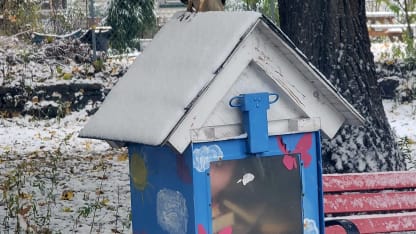 Made a new friend on my walk today