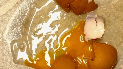 My Saturday, thus far.