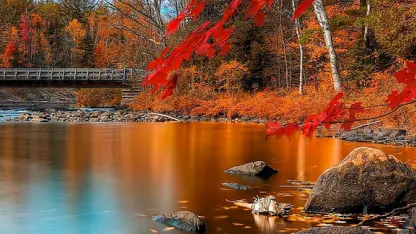 10-4-17 Autumn is upon us