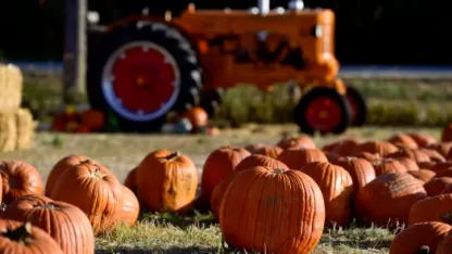 Spooky Goat day thirty-one! IT'S HALLOWEEN!