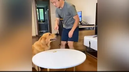 Hilarious and clever video!