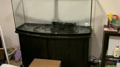 Merry Month of Meh-Mas- Christmas Edition