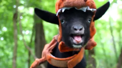 June Goat Nominations