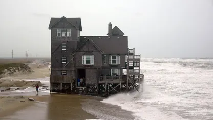 Virginian Serendipity