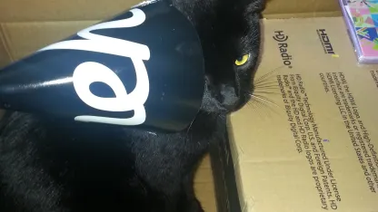 Attention Fort Worth area mehtizens!