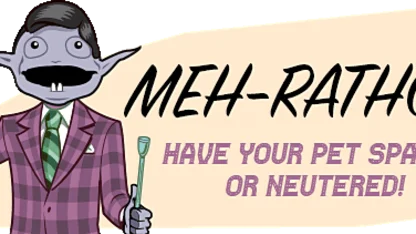 Thoughts on Bob BIRKer??