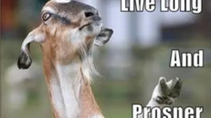 Acting Goat's Log - Stardate 160212