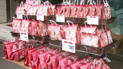 What would YOU do for a fukubukuro?