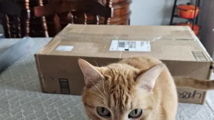 UNOFFICIAL MEH Exchange REVEAL THREAD