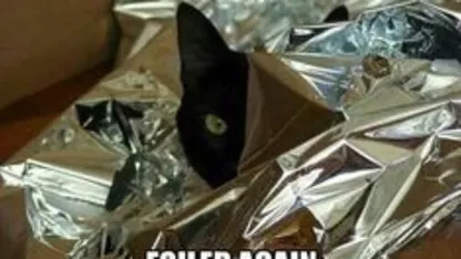 ah curses! Foiled again!