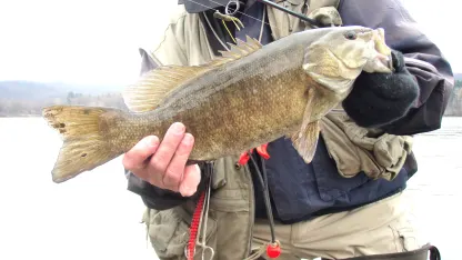 ANYBODY GISHING THIS YEAR?