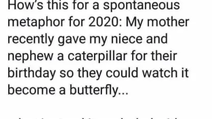 Well, it is 2020 afterall