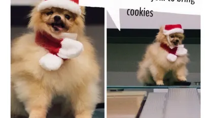 Team Meeting Tuesday with your Mehrry Muppet