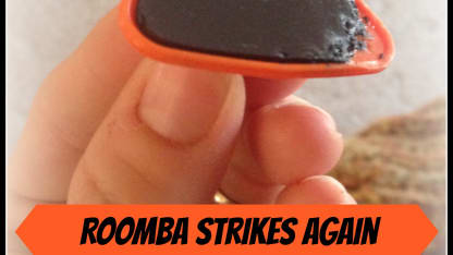 Hmm Actually ... I need some Roombas!