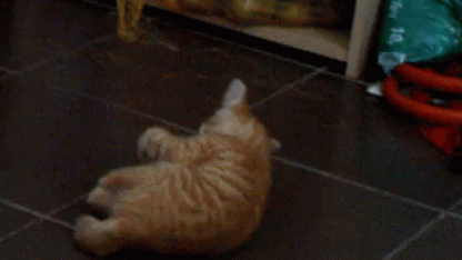 Mayday! Mayday! (May 2020 goat nominations).