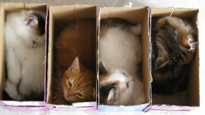 Unofficial Mehrican Exchange Ver. 7.0 {Necropost}