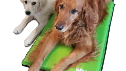 Hugs Puff Pad Self-Inflating Pet Bed