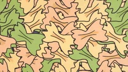 PastaDrop Photoshop Contest