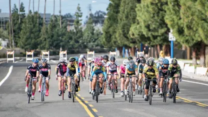 Bummer, the bear cams are down. My plans for the weekend are ruined.