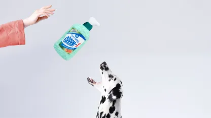 3-Pack: Bow Wow Cleanin' Canine Large Dog Toys